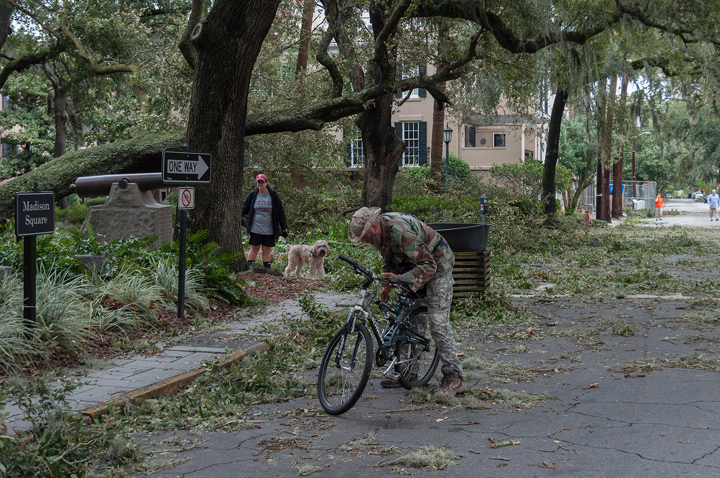 Hurricane Matthew Savannah debris Downed Trees