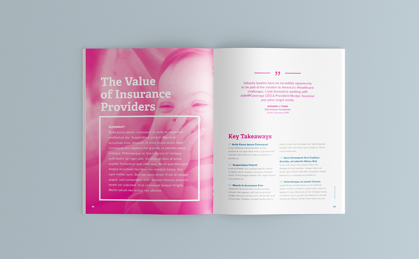 graphic design  report strategic plan InDesign