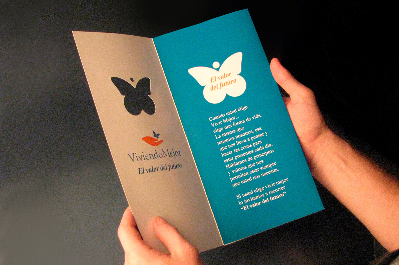 afiche brochure brochure design diseño gráfico folleto folletos impresion poster print publicidad