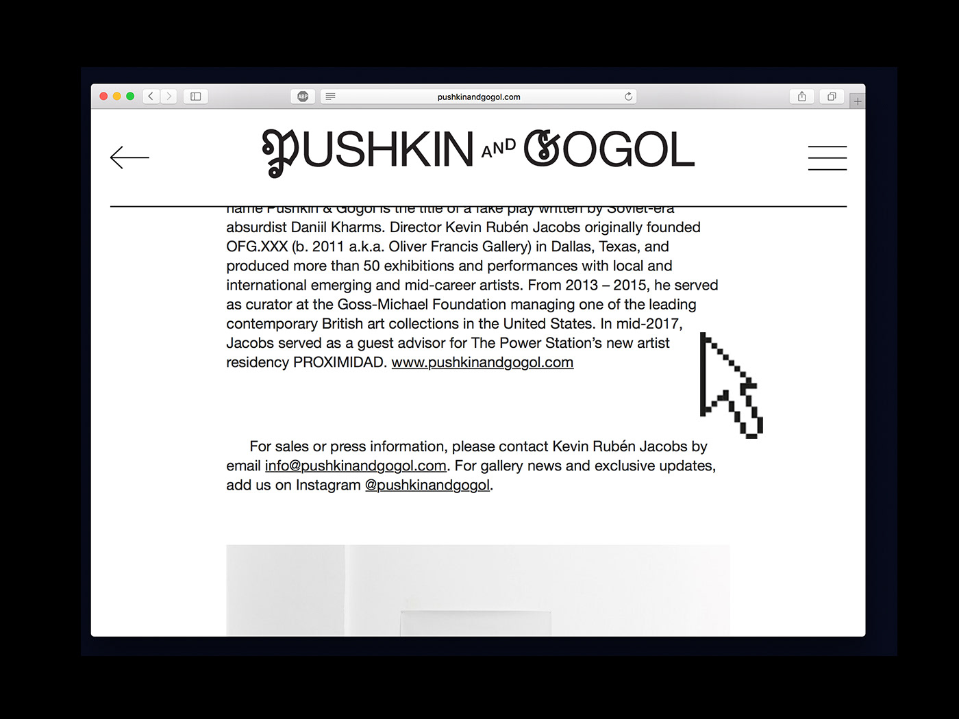 Pushkin and Gogol Webdesign coding contemporary Art Gallery  kreuzberg director Kevin Rubén Jacobs Exhibition 