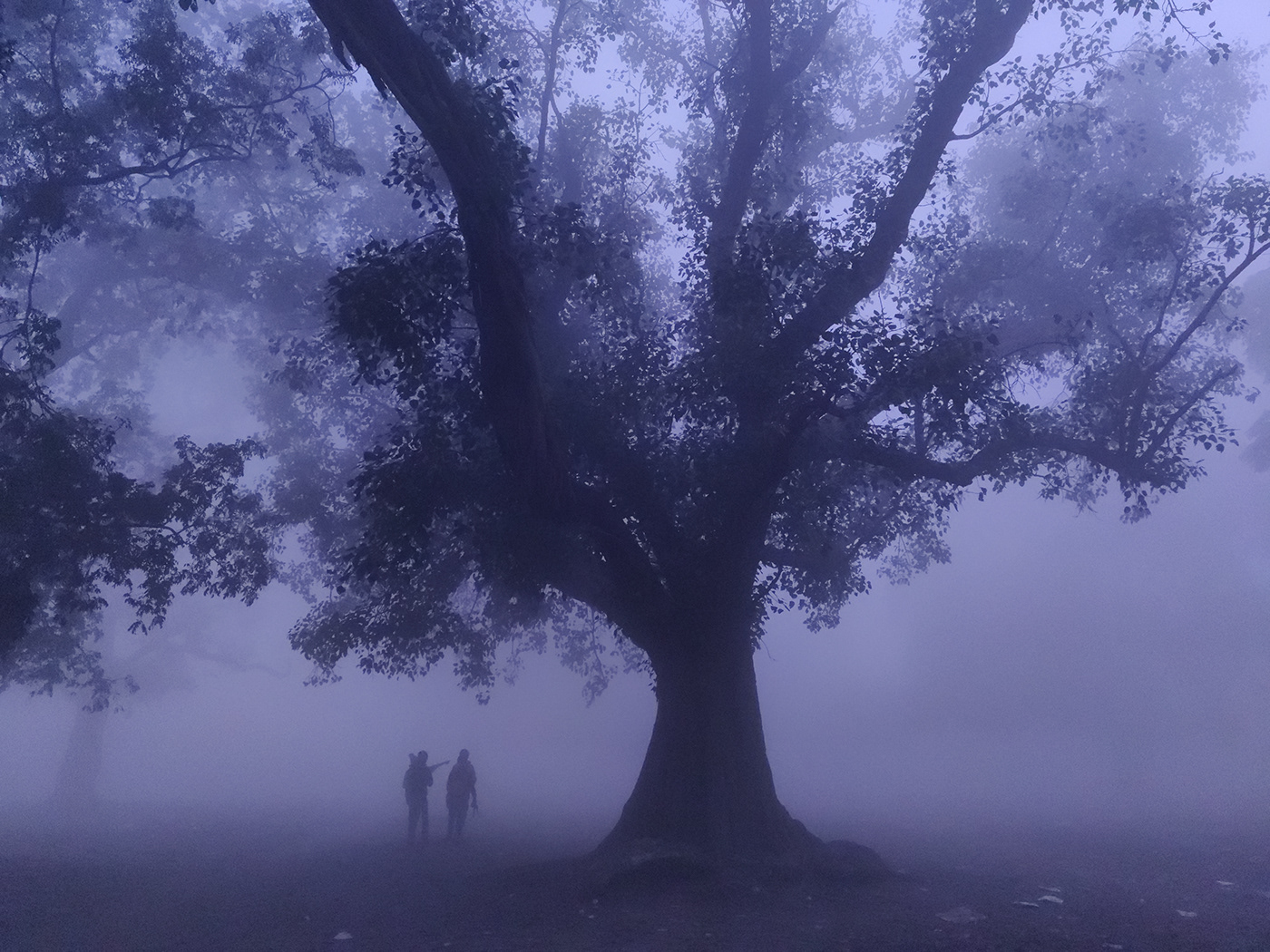cityscape fog India Kolkata mist MORNING people Travel winter