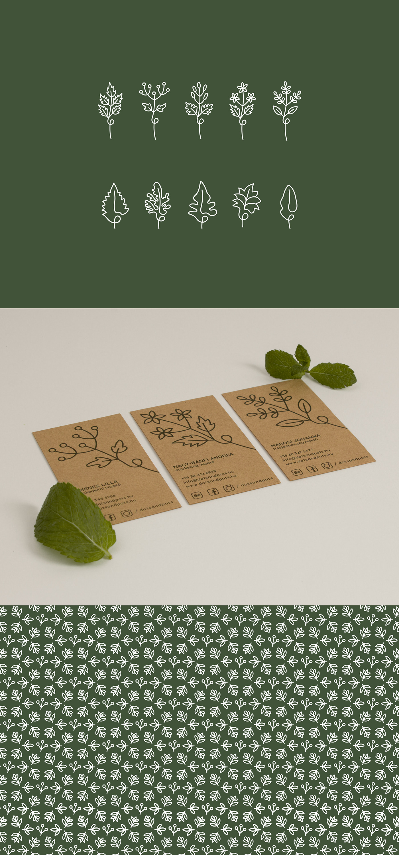 environmentally conscious graphic design  ILLUSTRATION  Packaging planting kit plants