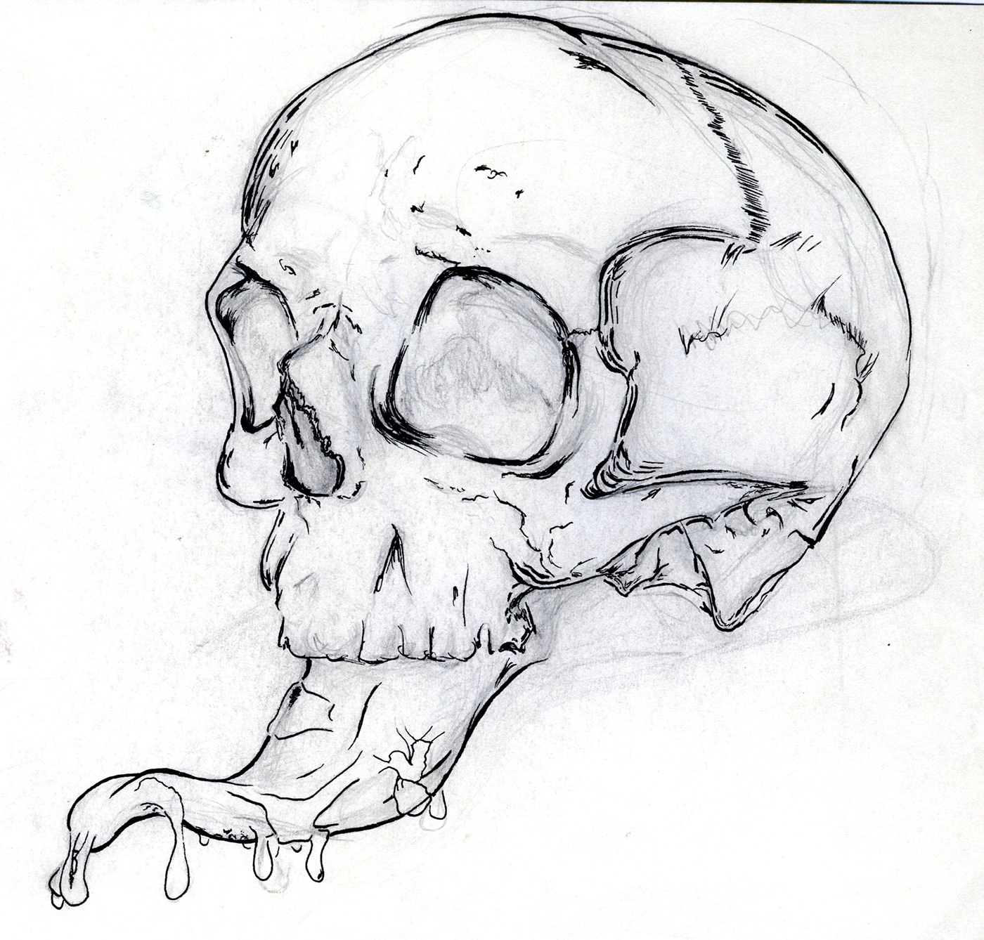 ILLUSTRATION  ilustracion skull Craneo digitalart draw escupitajo