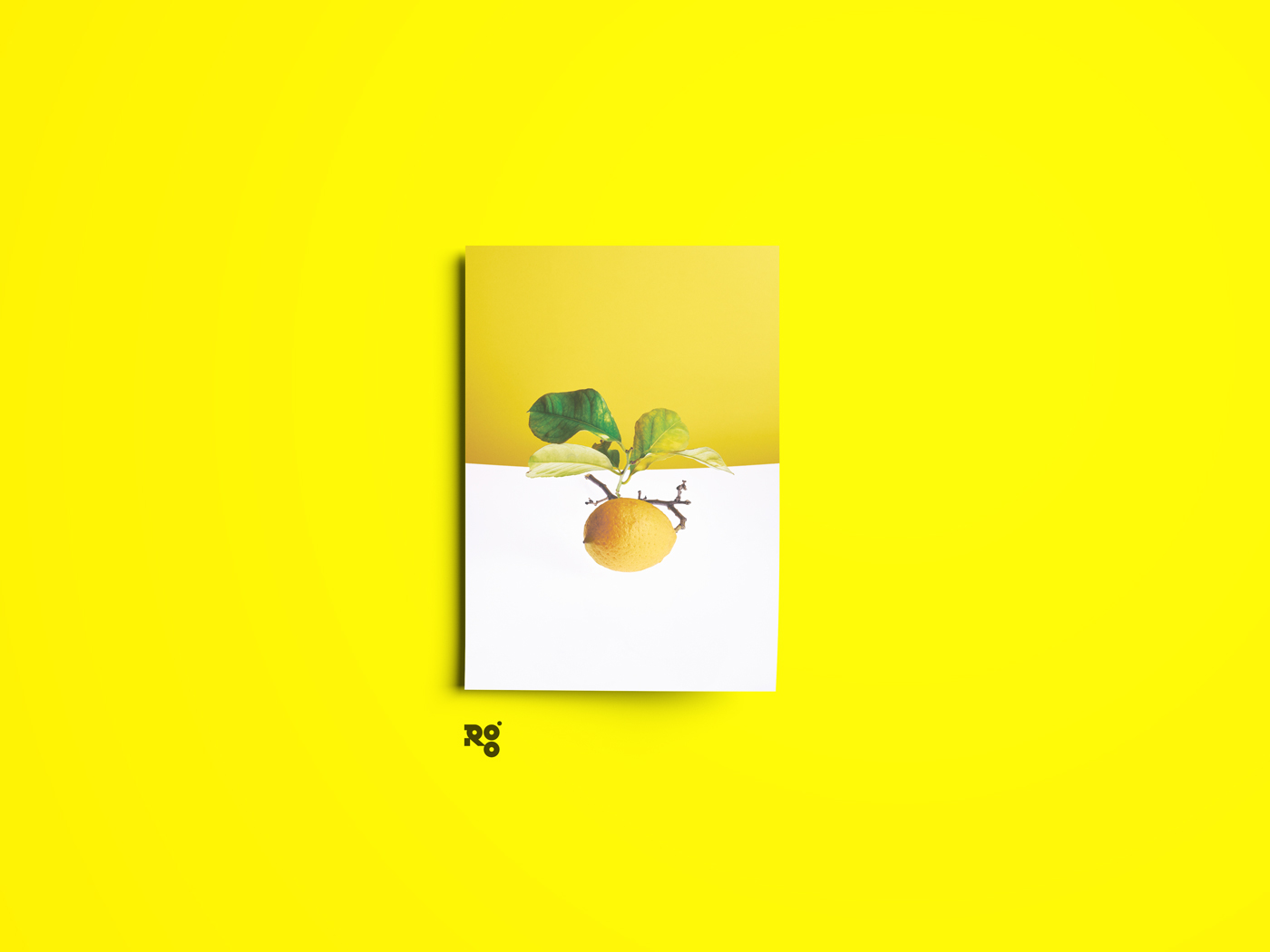 lemon Fruit yellow stilllife Food  Capture one pro photoshop still life design Fotografia