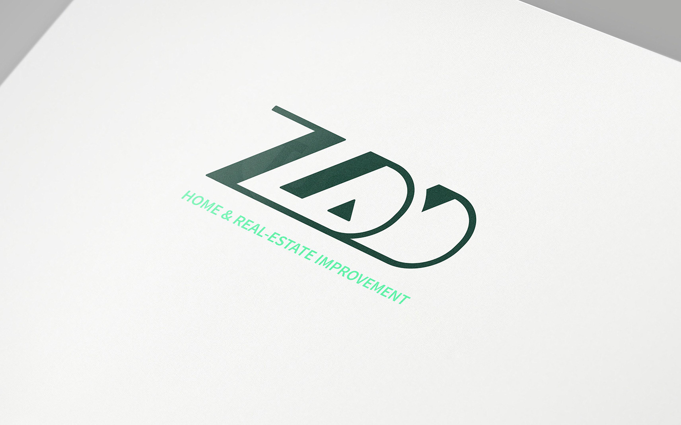 brand branding  Logo Design modern professional visual identity