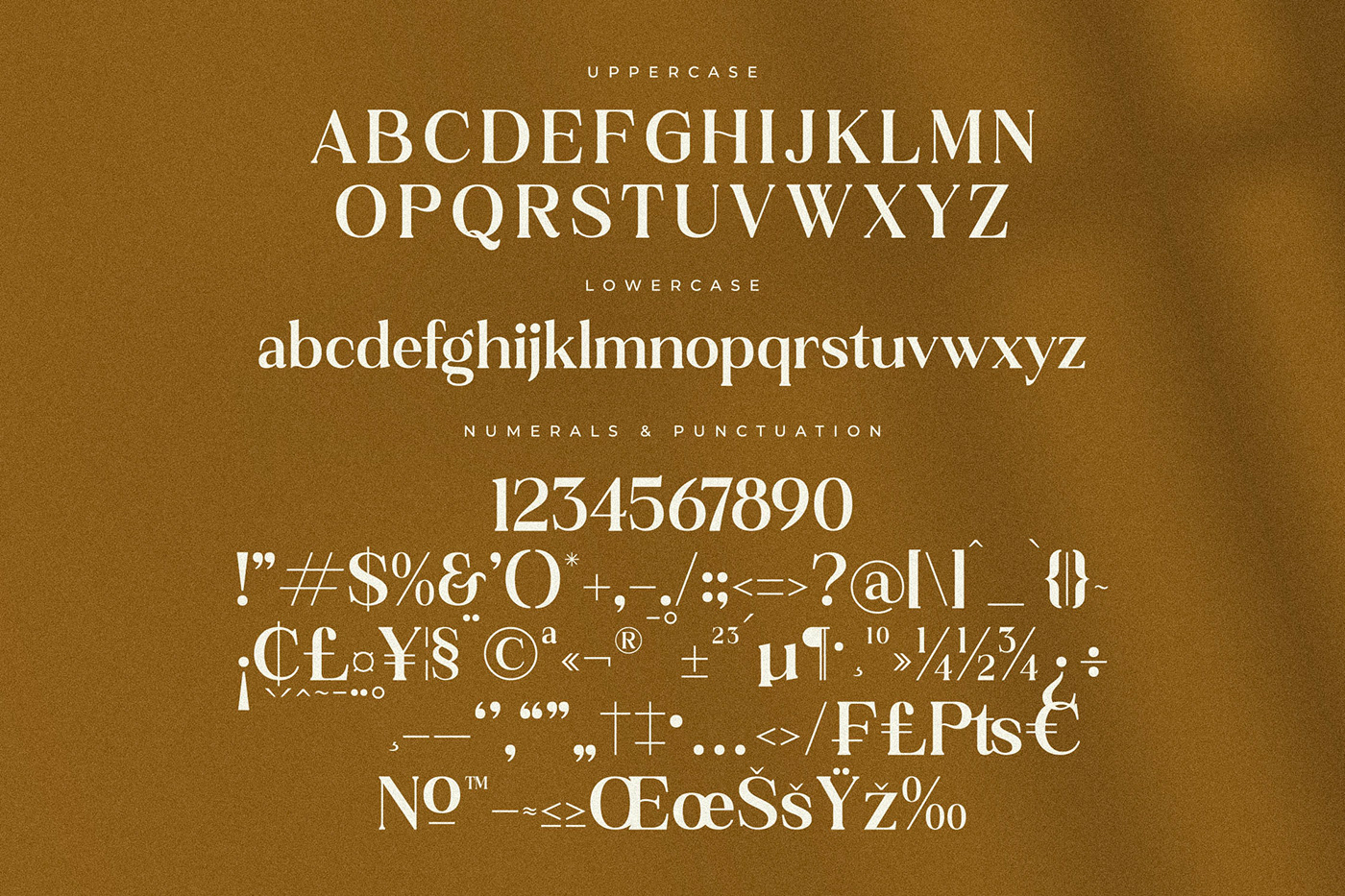 display serif Fashion  Luxury Serif Premium Serif Script serif Serif Font Serif Premium signature wedding