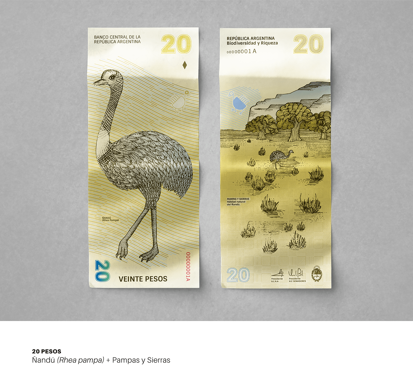 currency money banknotes biodiversity biomes redesign animals