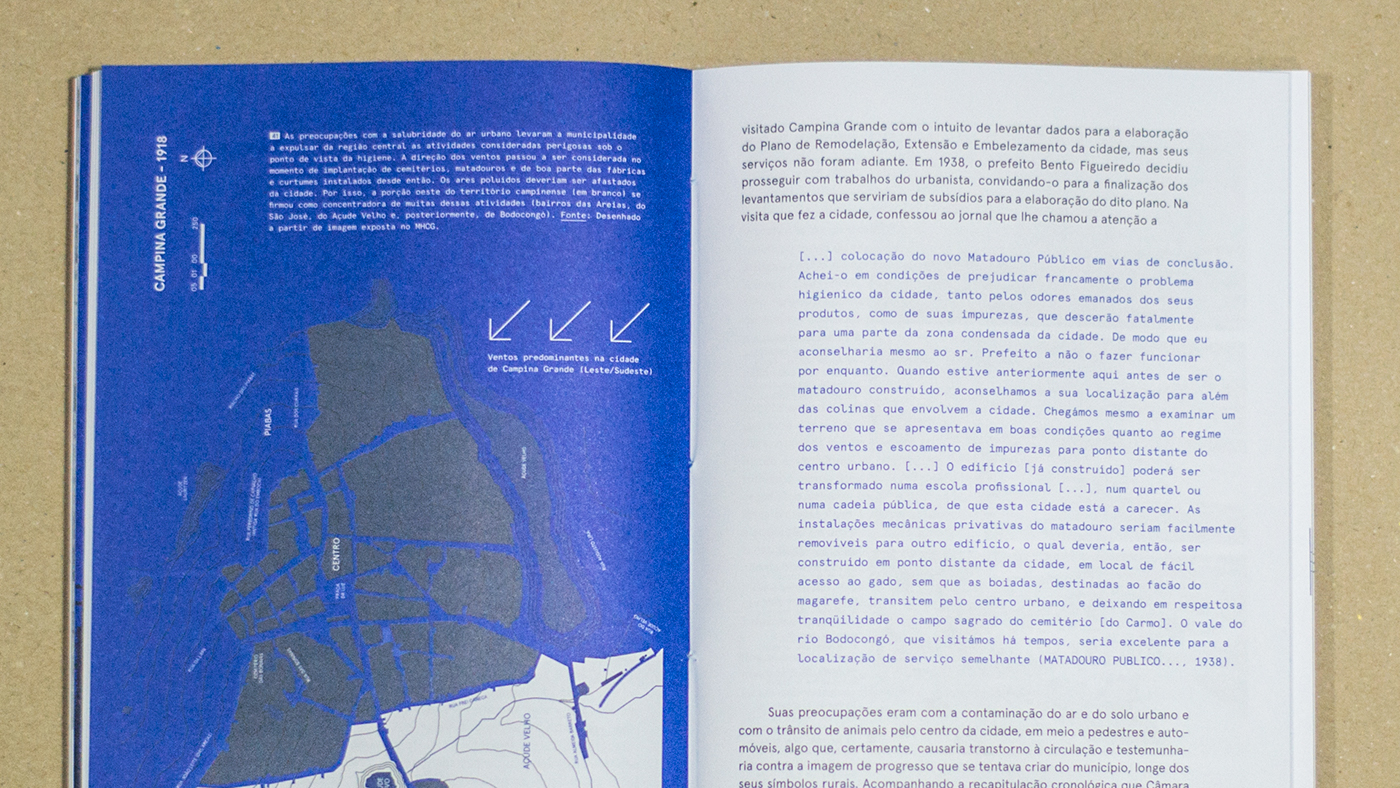 architecture urbanism   book design bienal ADG Brasil pantone editorial