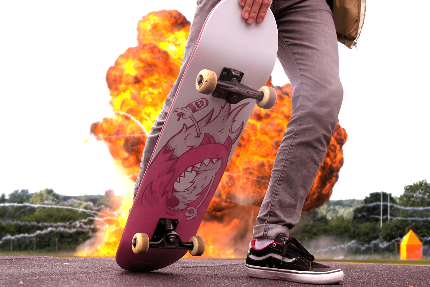 skate skateboard design graphisme ILLUSTRATION  graphic art FOX brand