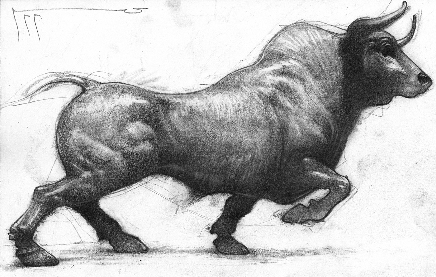 animal Drawing  sketch