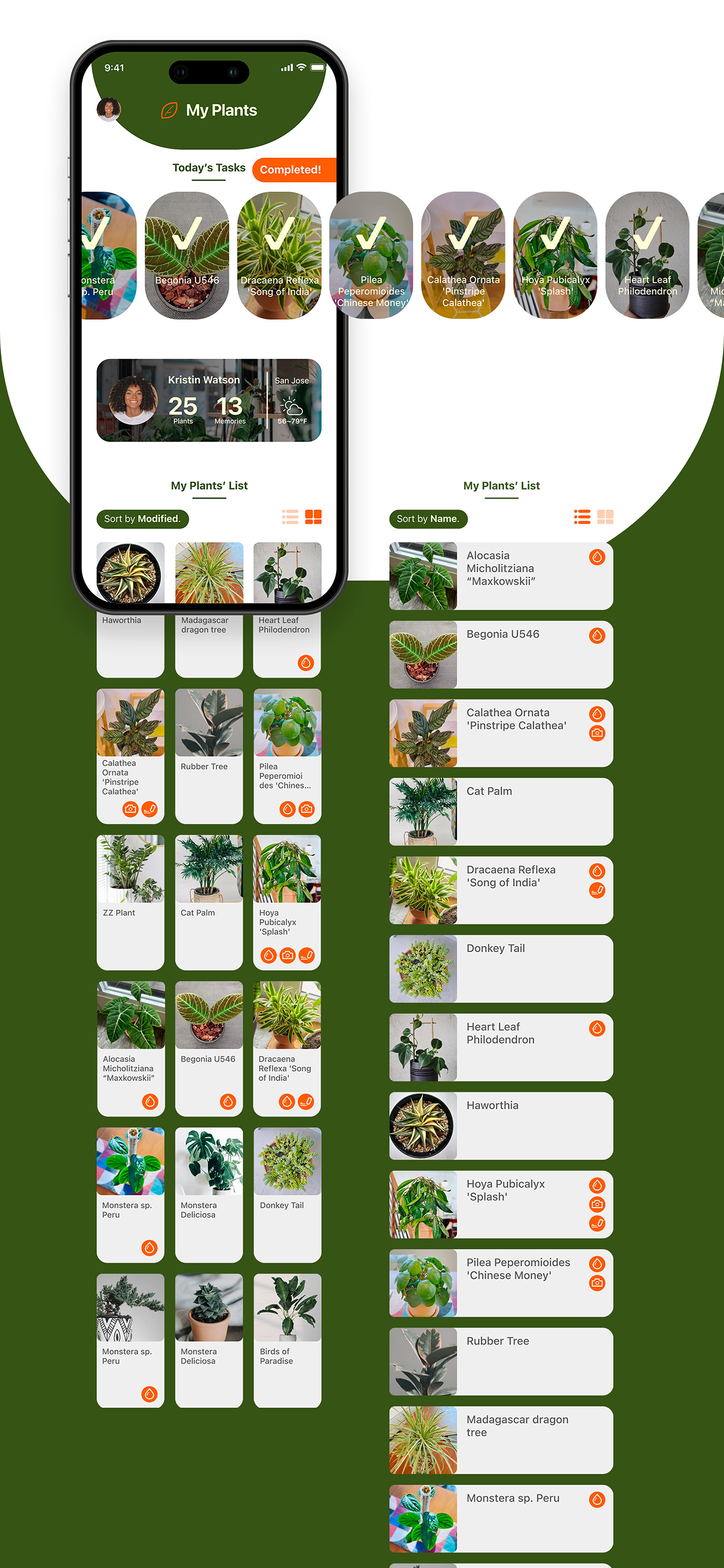 UI/UX plants botanical Marketplace app design Figma Mobile app creative Logo Design plantcare