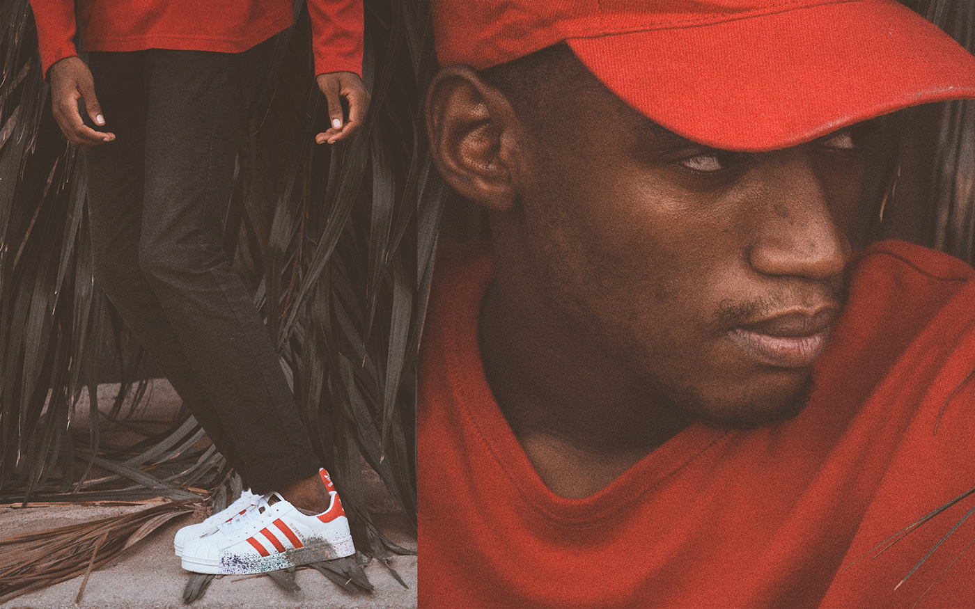 shoe adidas red superstar adidas superstar sneakers model male Urban leaves