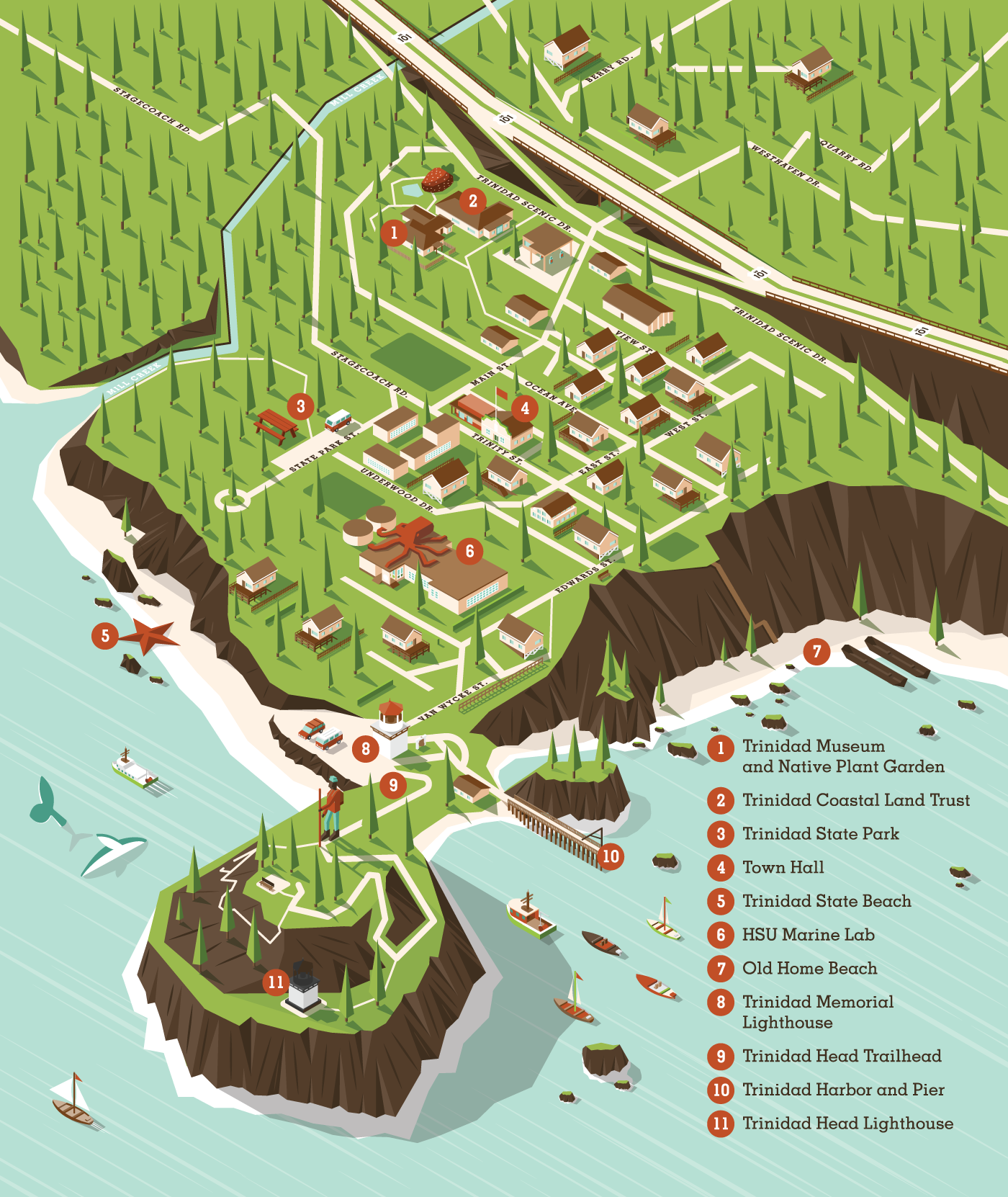 kids Nature seabirds Isometric map California humboldt