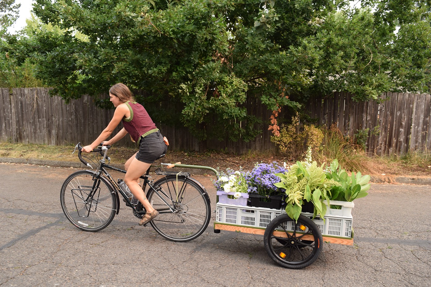 bike trailer Bicycle Trailer Farm Cart local produce