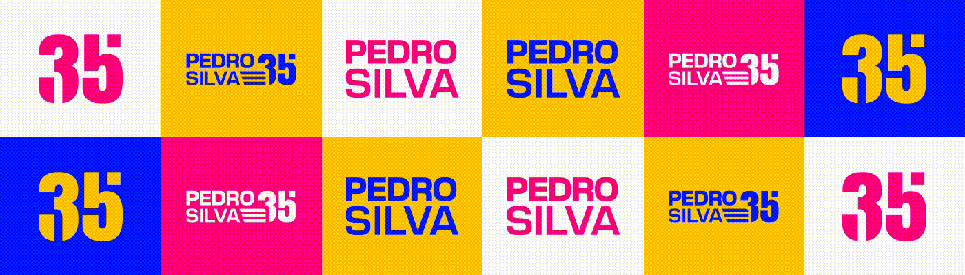 Graphic Designer design brand identity Logo Design visual identity brand identity visual politico Politica