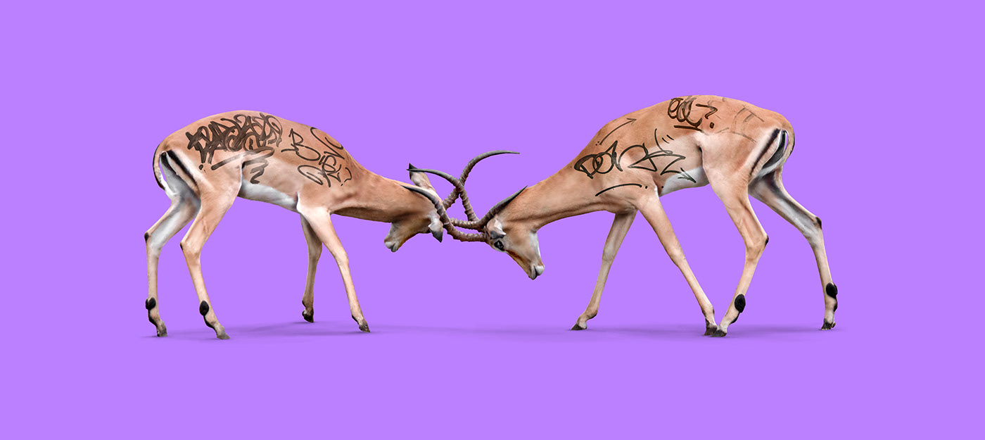 collage deer elephant gazelle popsurrealism surrealism weird wild zebra