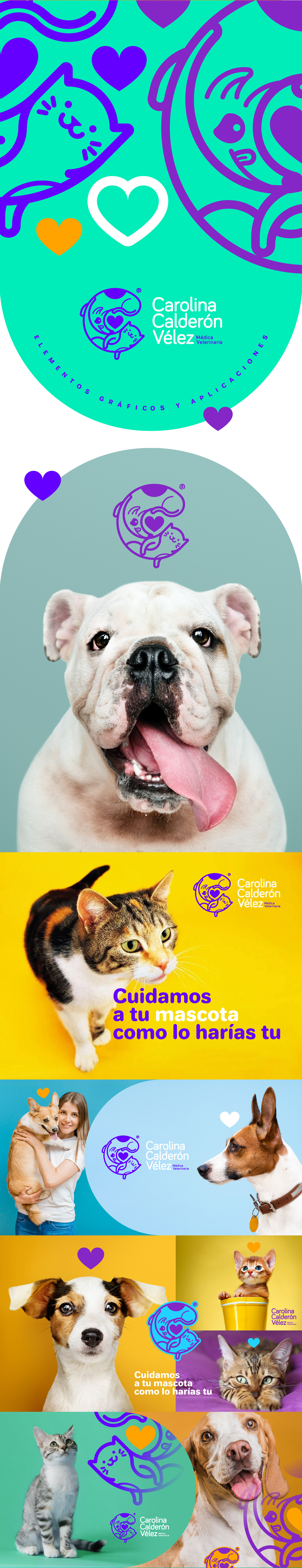 brand branding  Cat dog logo marca pet clinic veterinaria veterinary mascotas