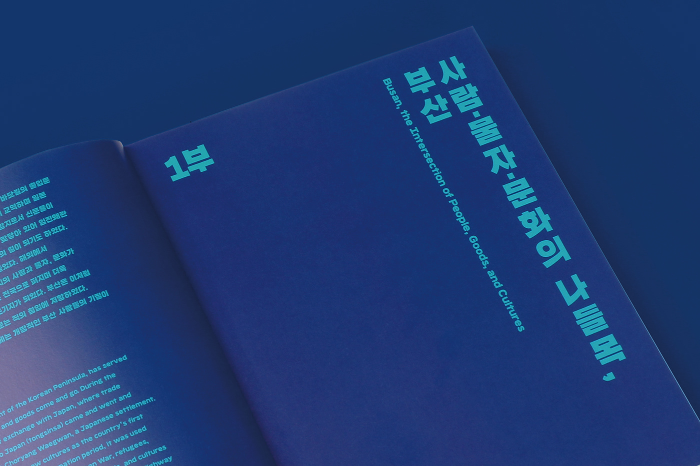 Busan city Exhibition Design  Korea metropolitan mountain Poster Design sea typography   waves