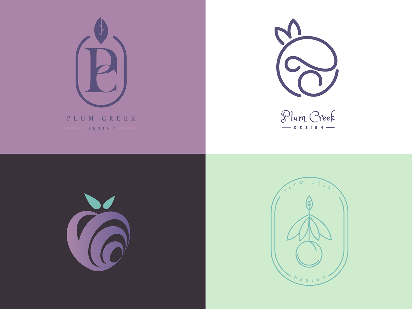 branding  logo Plum Fruit craft cutout graphic design  Layout modern
