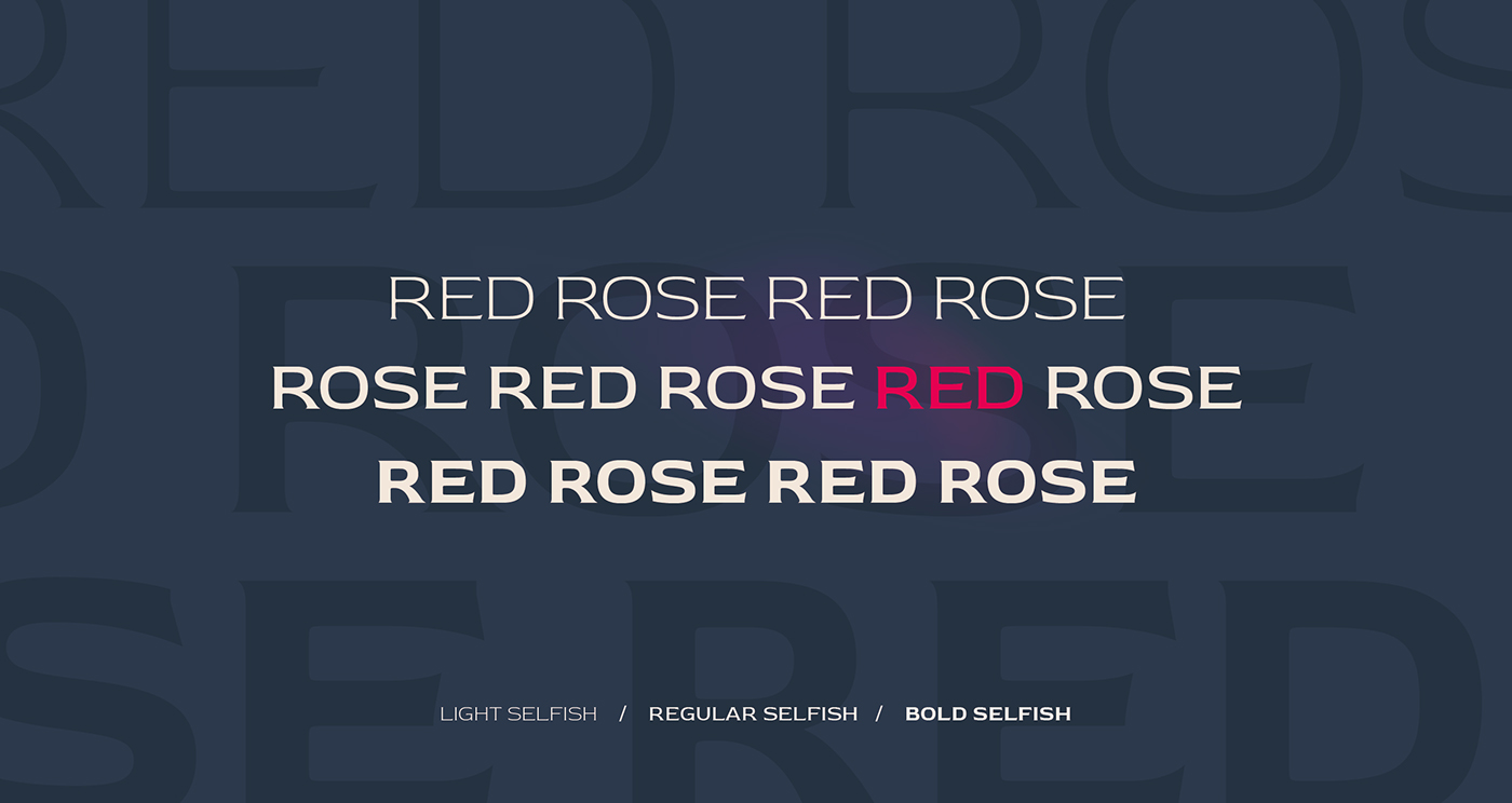 red rose Typeface Display font Latin Love India