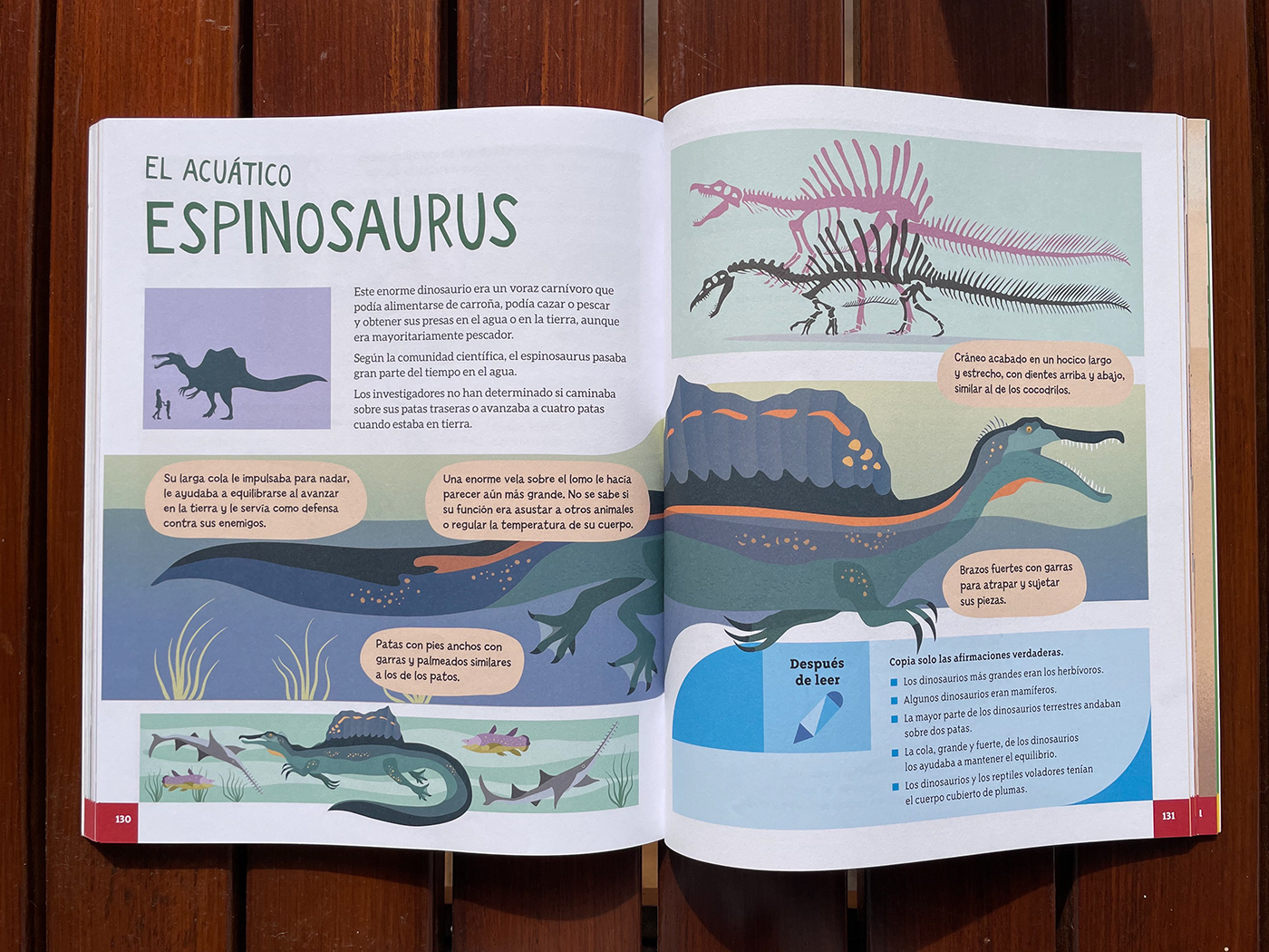children illustration dinos Dinosaurios dinosaurs editorial educational ILLUSTRATION  ilustracion t-rex triceratops