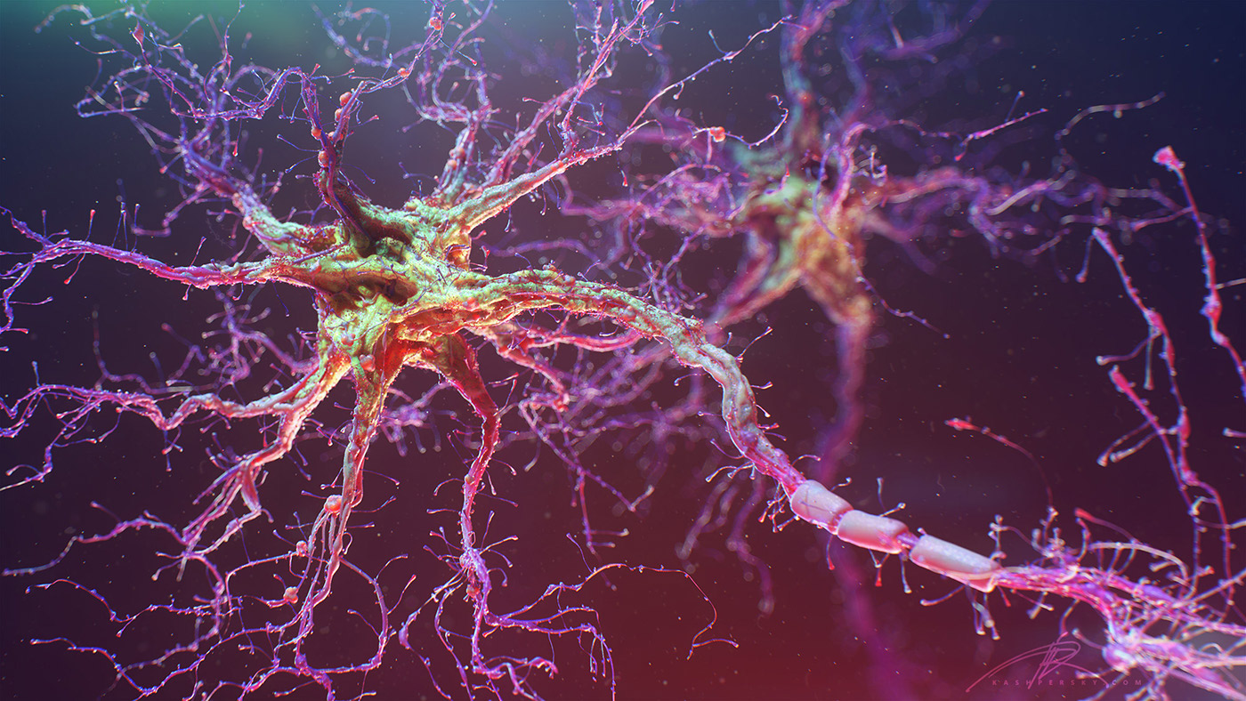 neurons neuron brain synaps medicine science SEM microworld   human body micro dof macro Axon dendrite