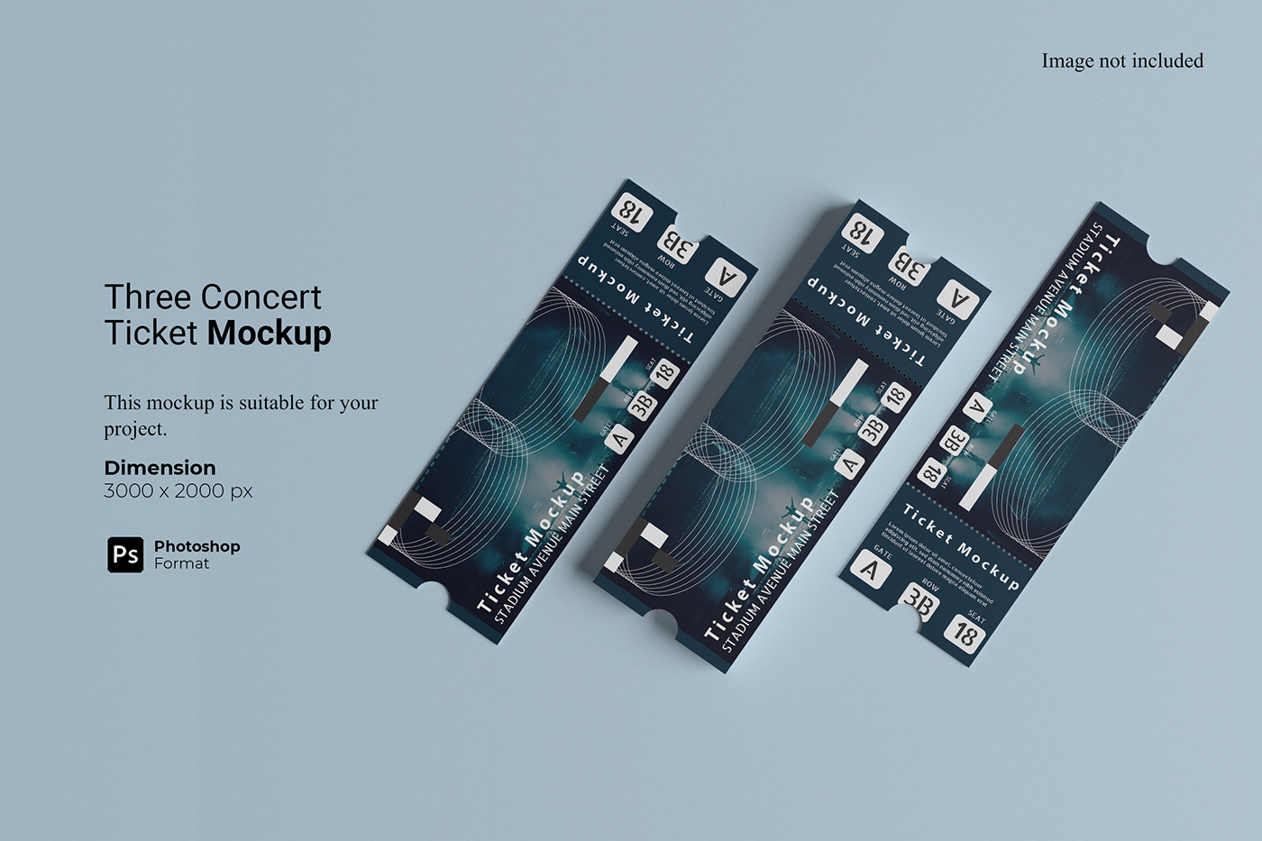 admission concert Event festival Invitation Mockup paper pass template ticket