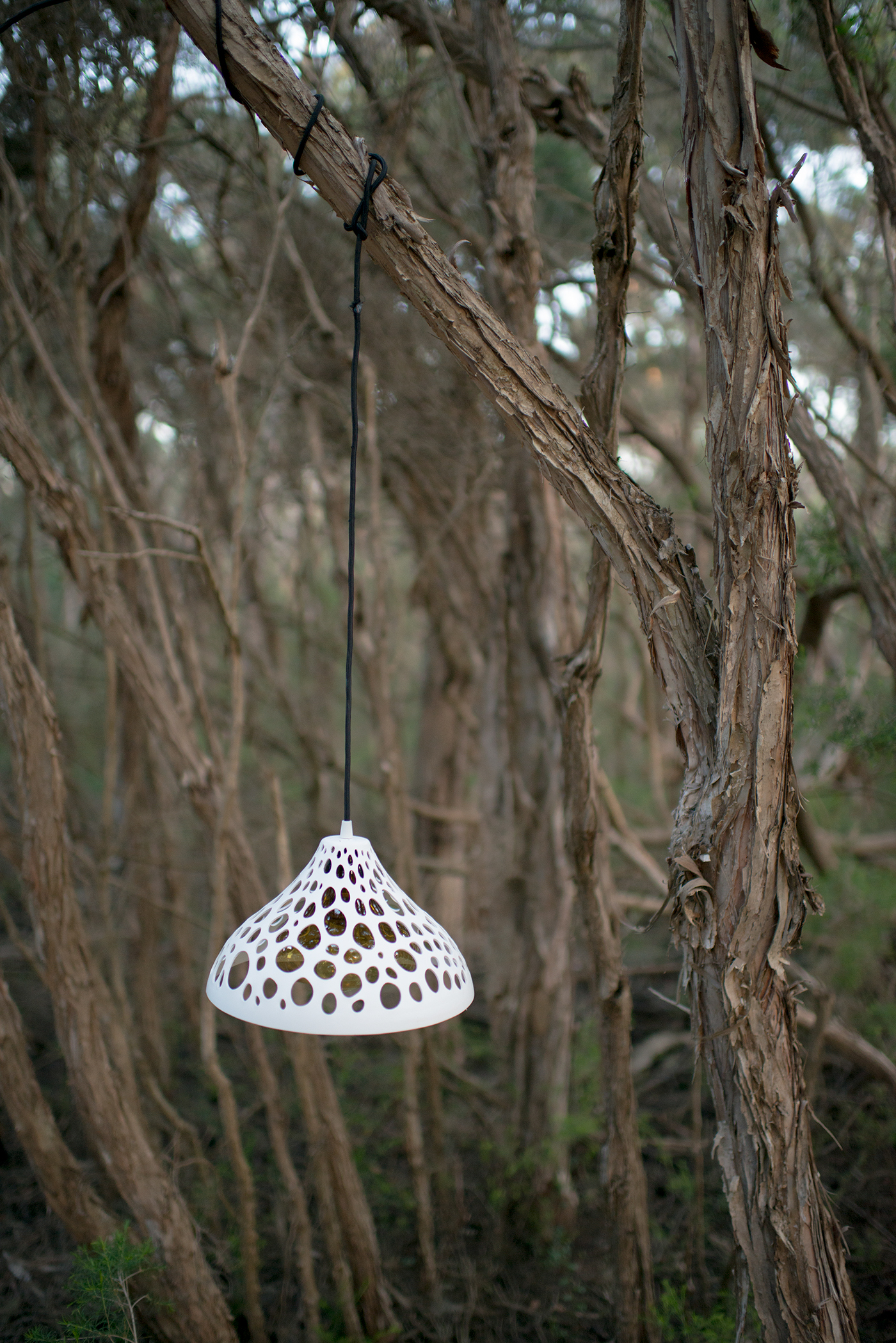 furniture Nature product design photo art object pendant lighting trees water algae glass