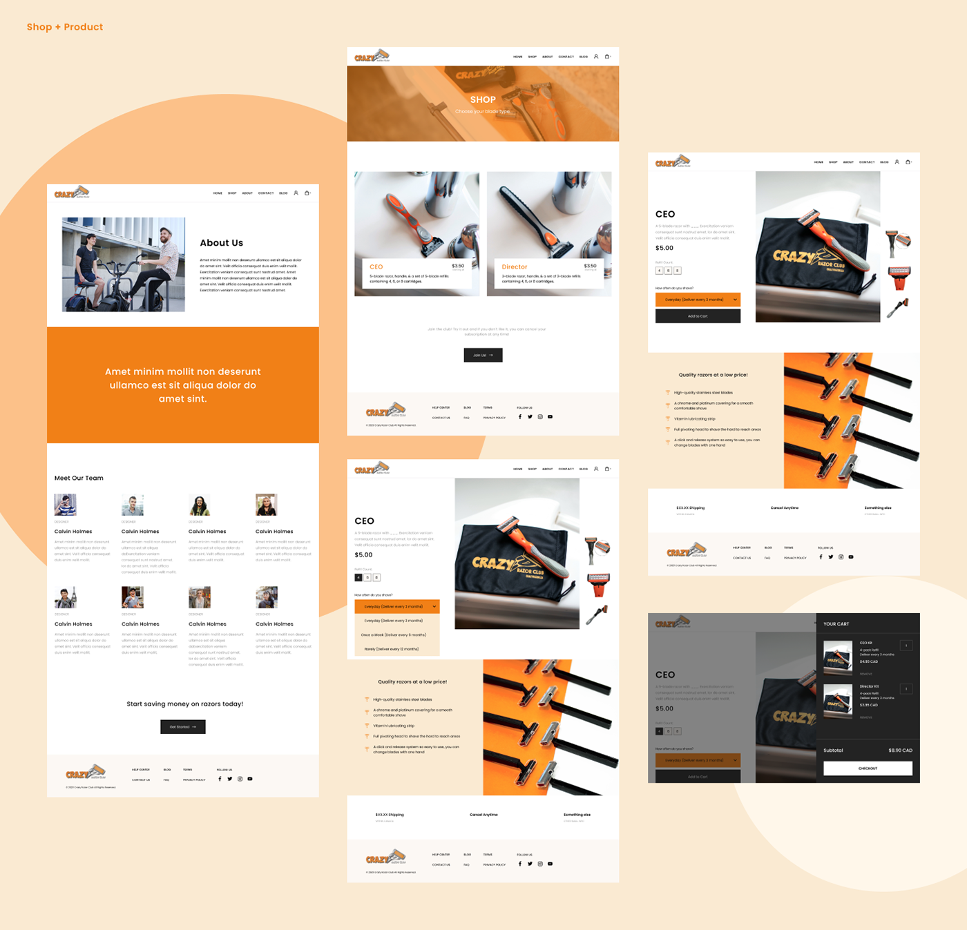 e-commerce subscription ui design UX design visual design Web Design 