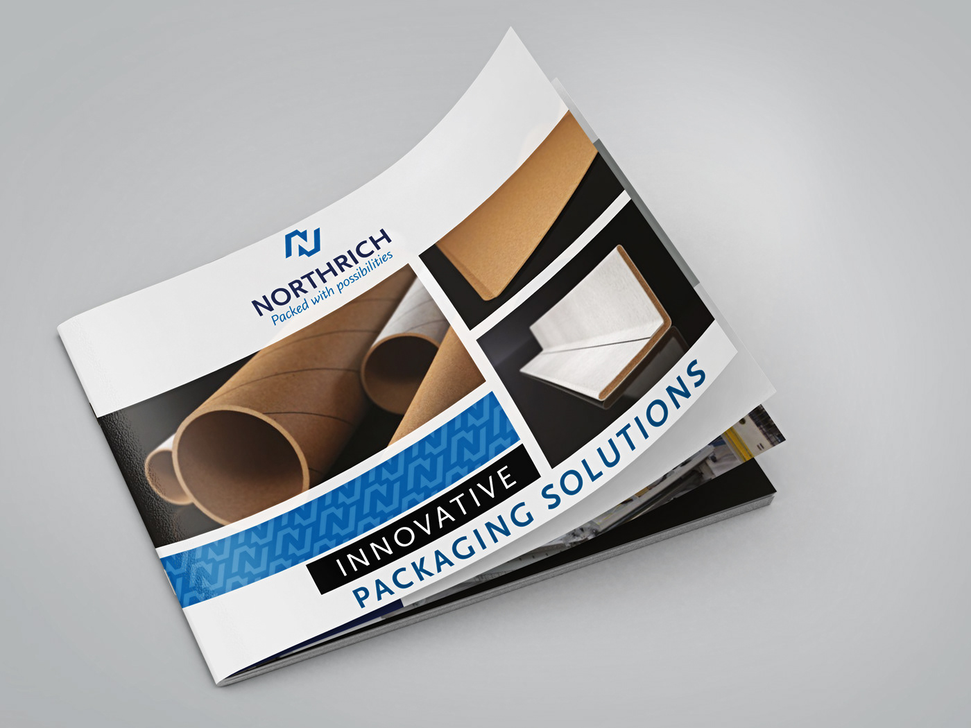 3D branding  brochure Catalogue industrial logo