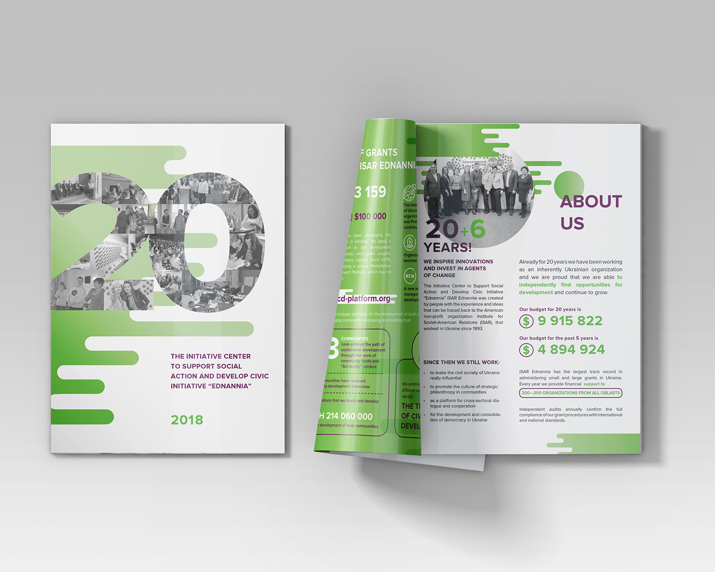 ANNUAL annual report brochure report