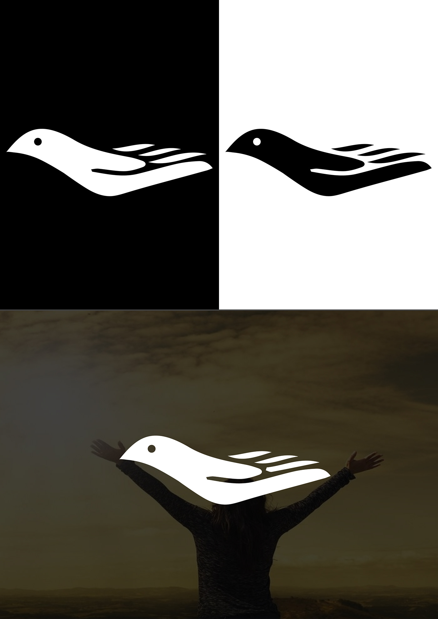 Logo Design bird freedom ILLUSTRATION  Graphic Designer