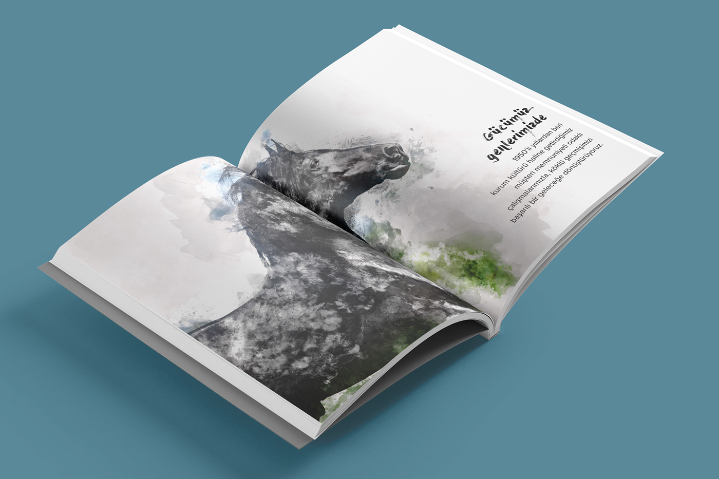 annual report editorial design  print finishing infographic watercolour Drawing  hand draw Digital Art  report
