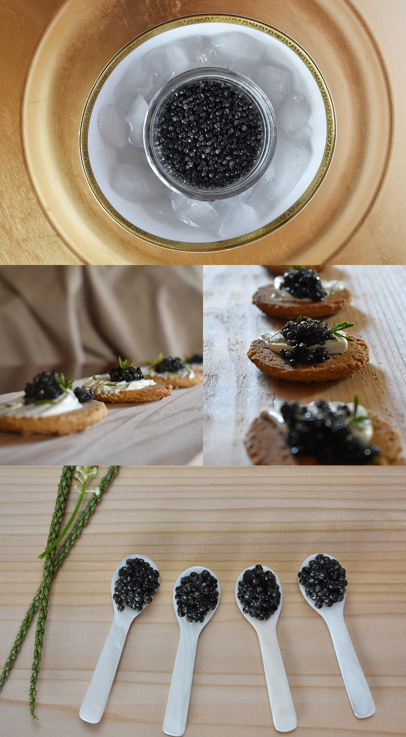 caviar Shells gifs brand labels