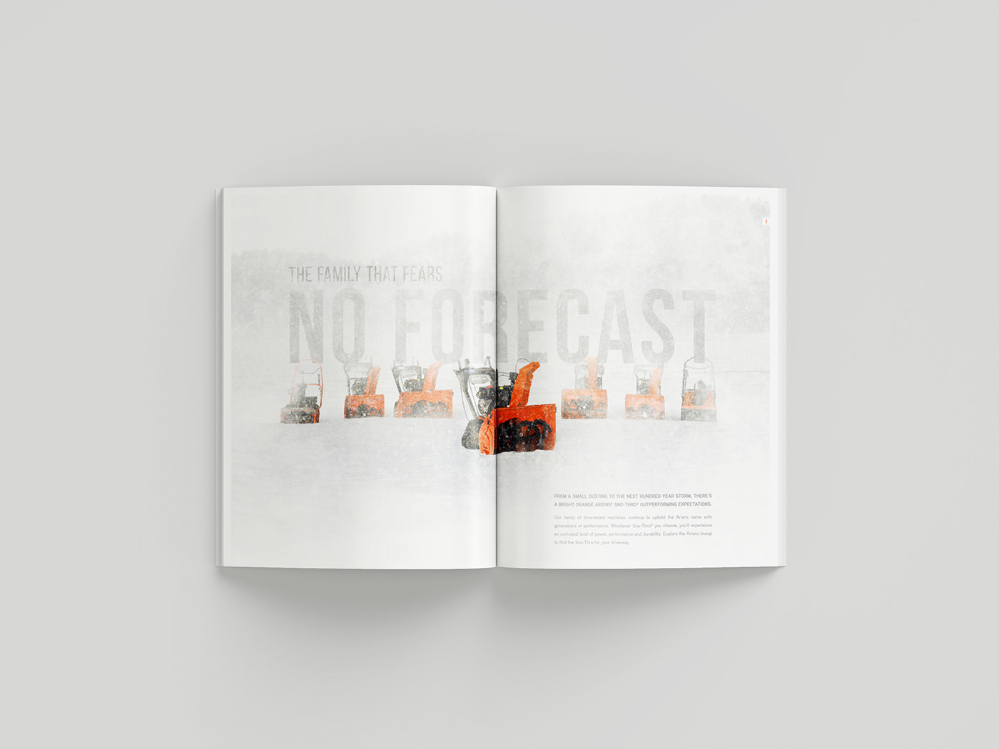 Advertising  brochure catalog design Layout Photography  print typography  