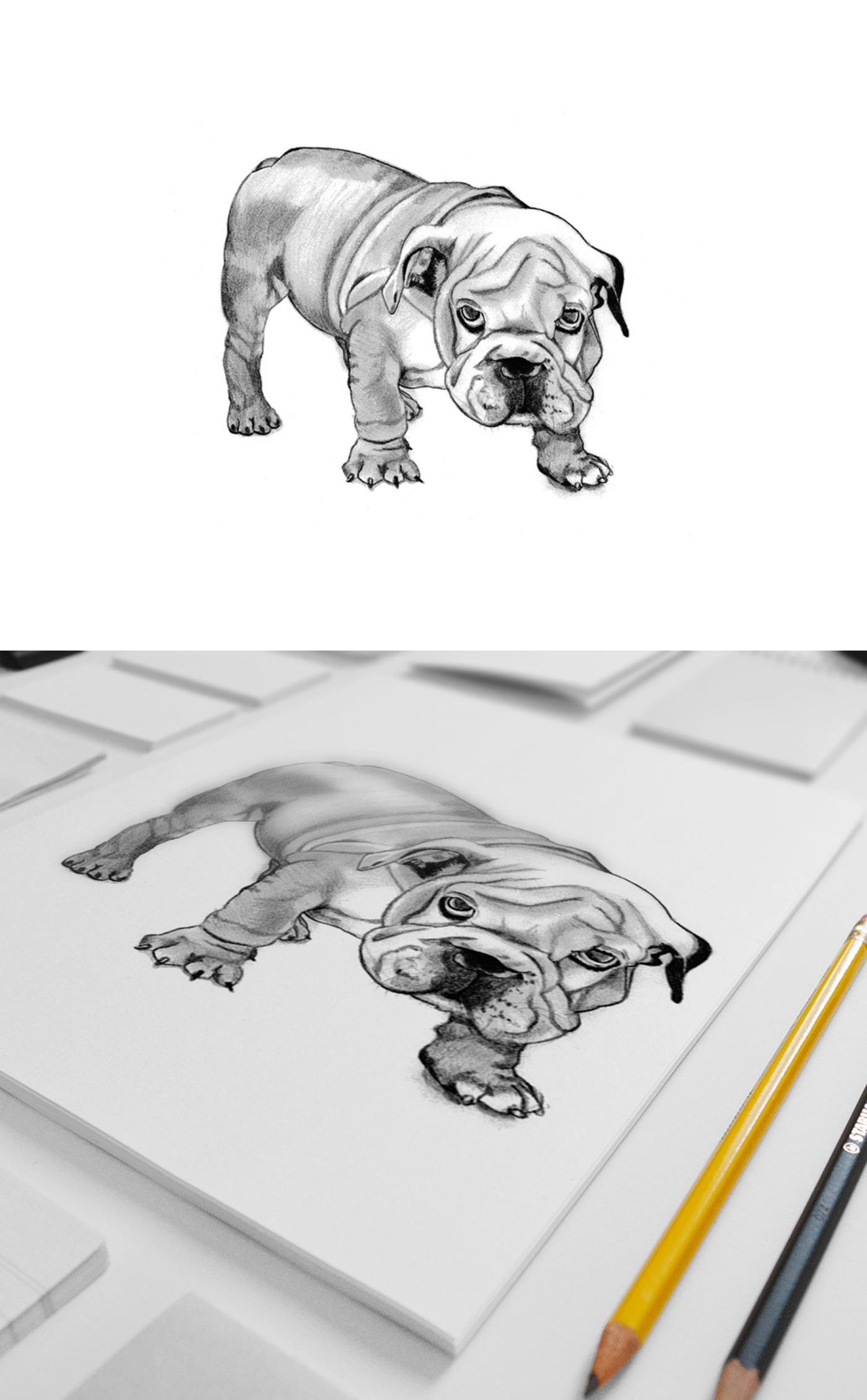 dog cachorro best friend draw bestfriend sketch animals Realism artwork