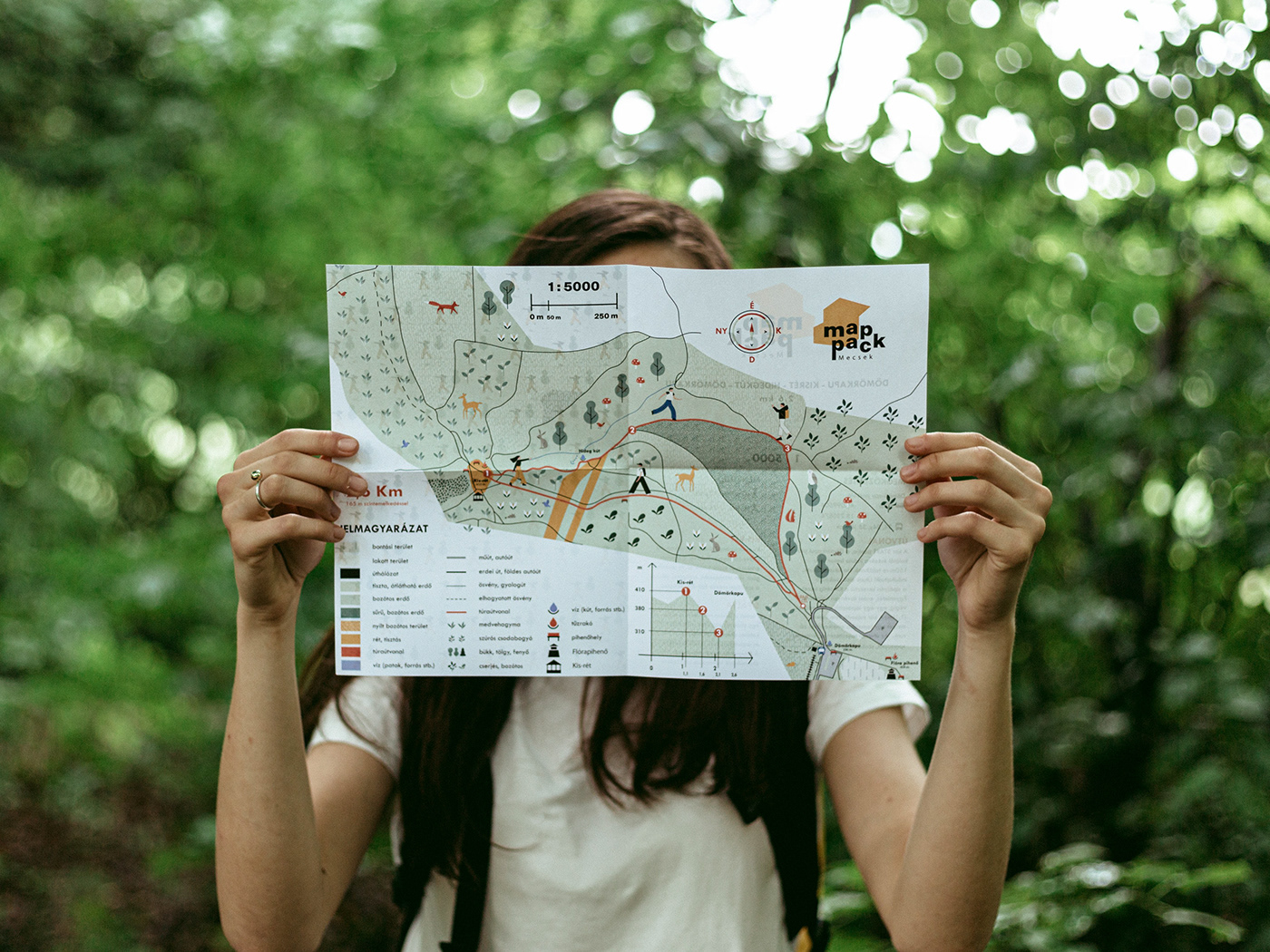 brand identity forest graphic graphicdesign hiking ILLUSTRATION  map Packaging travel guide