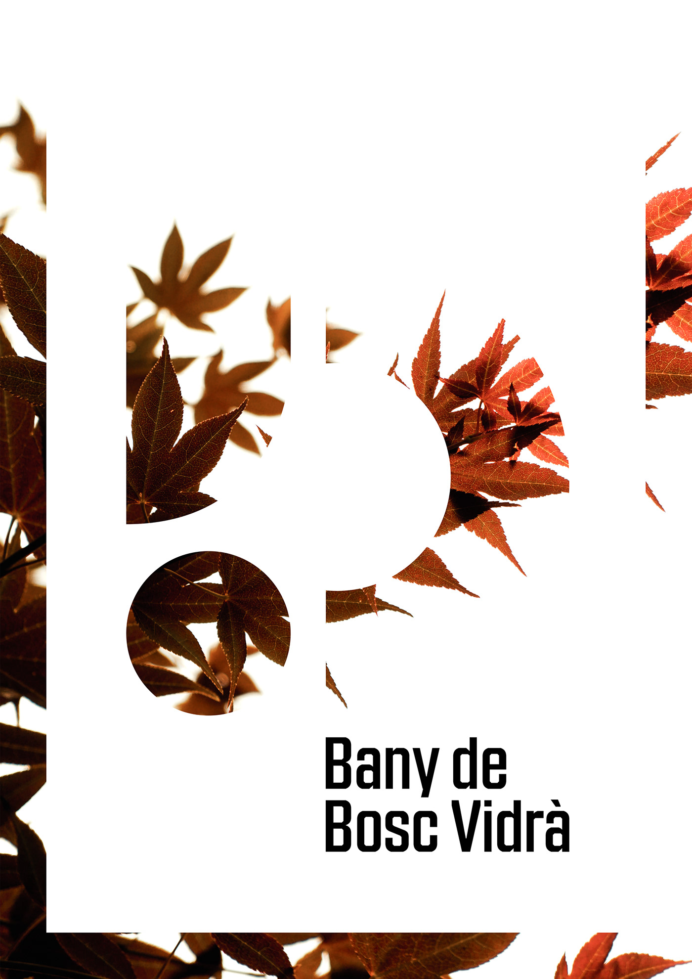 Behance brand logo brand identity graphic design  design Xavier Esclusa Trias posters Illustrator photoshop