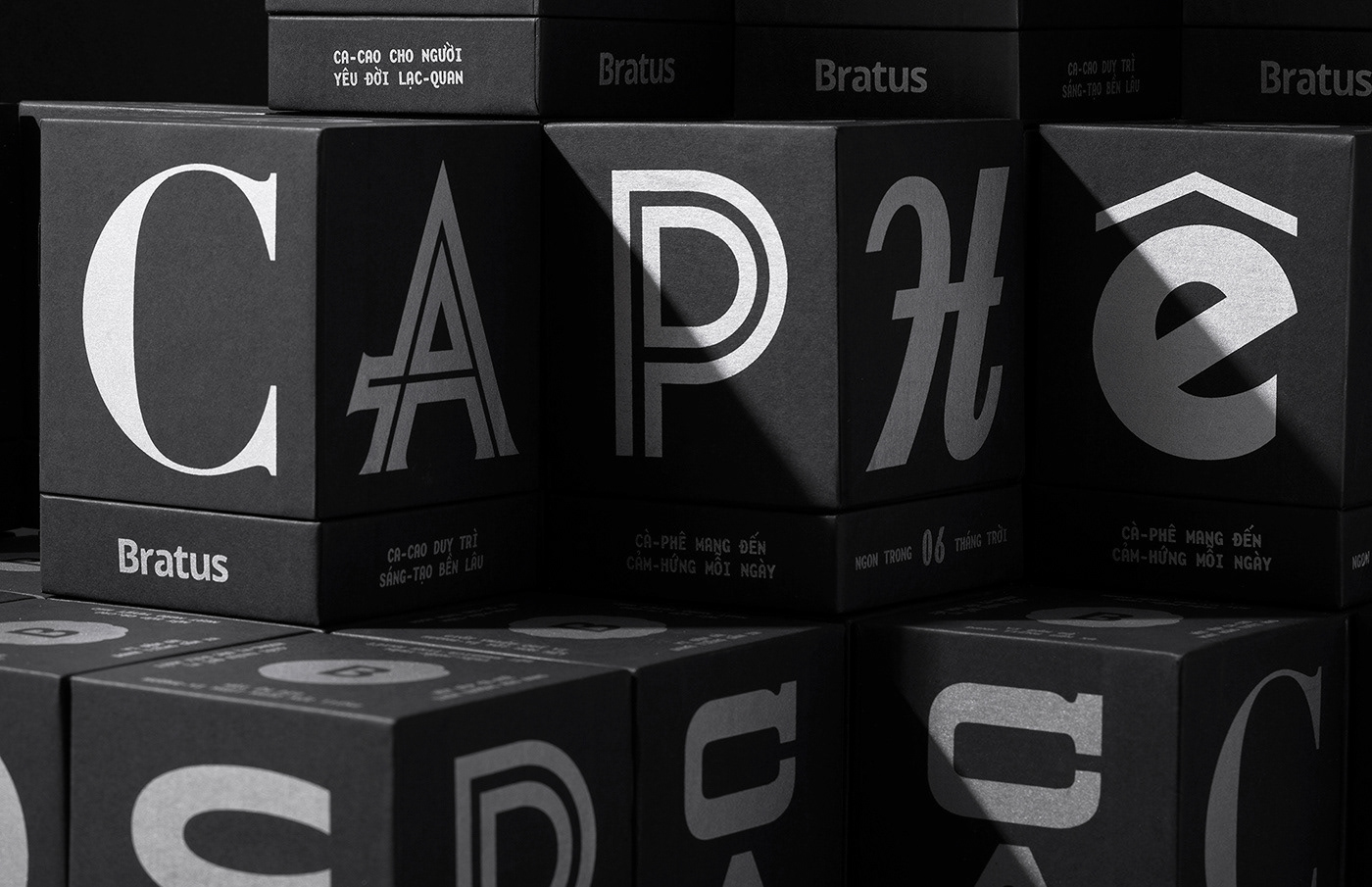 Typeface typography   font type design display font serif