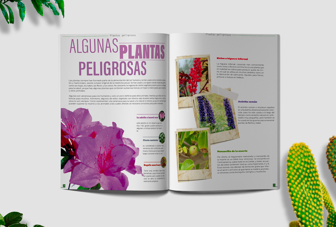 design diseño Diseño editorial diseño gráfico editorial editorial design  magazine revista typography  