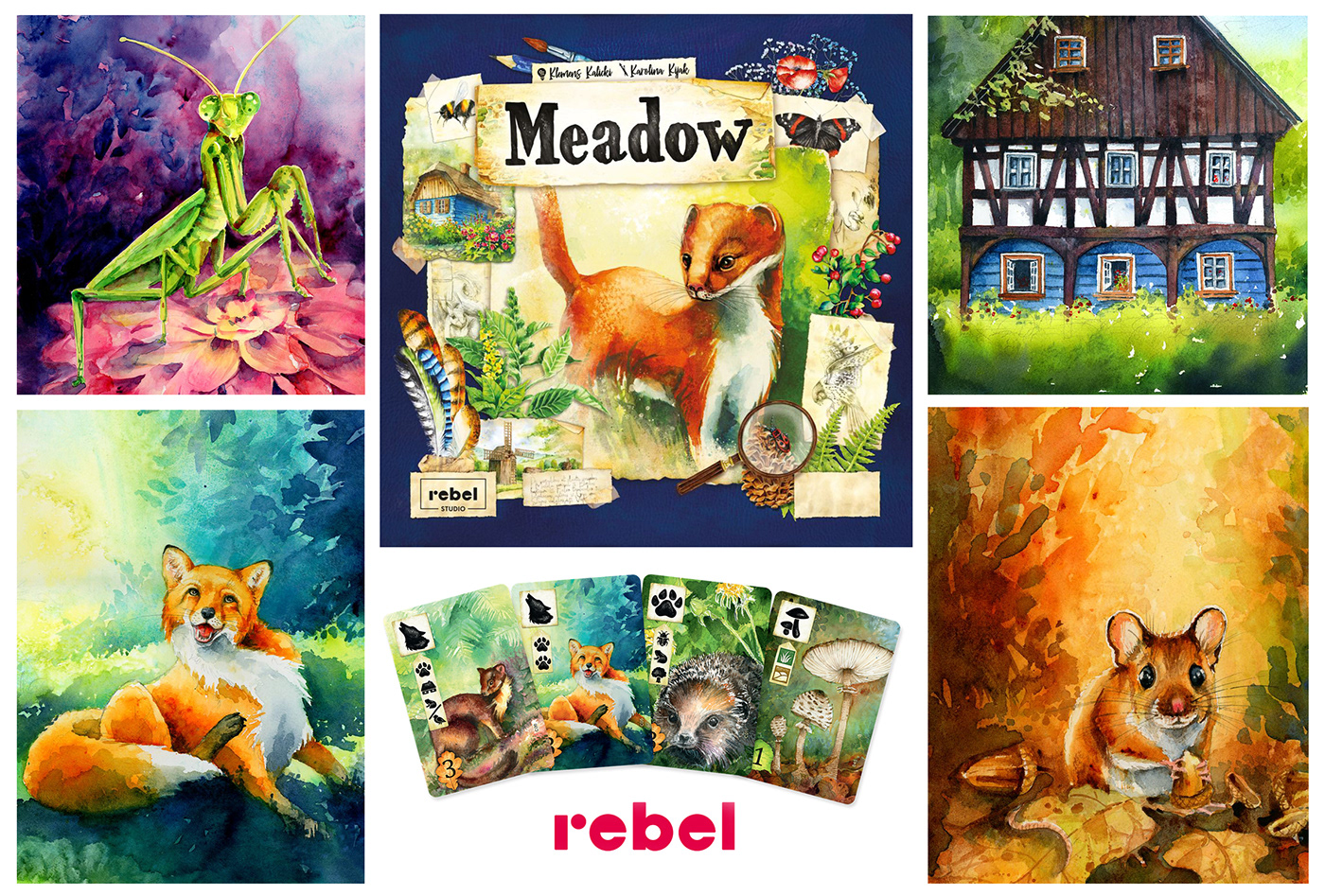 akwarele animals illustrations board game Game Art game design  meadow Nature illustrations watercolorls watercolors wildlife illustrations