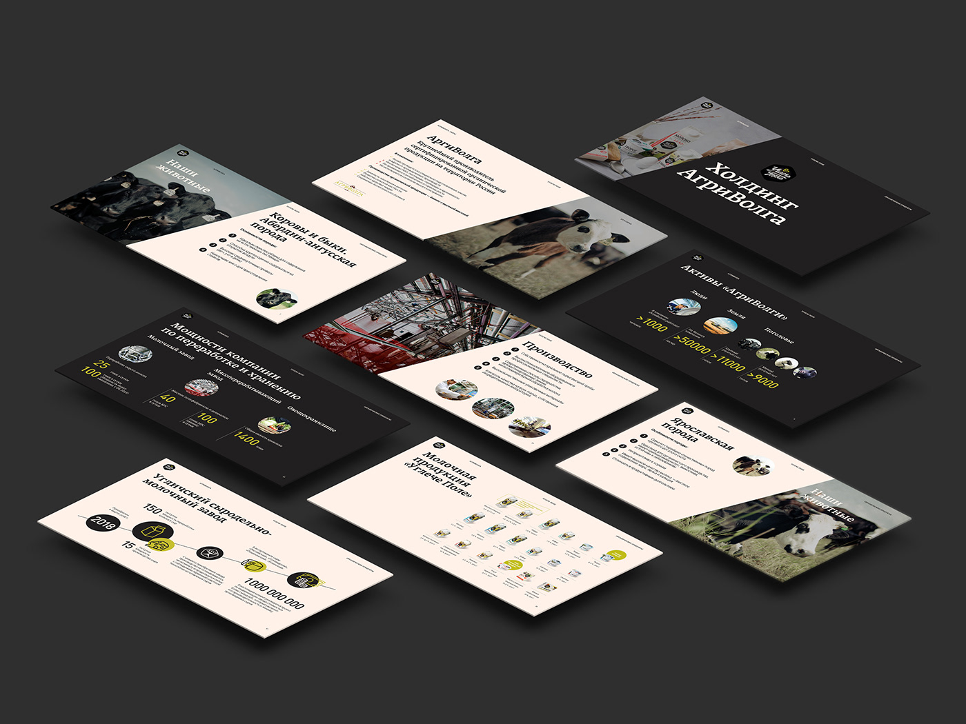 infographics Powerpoint presentation инфографика презентация приложение слайды