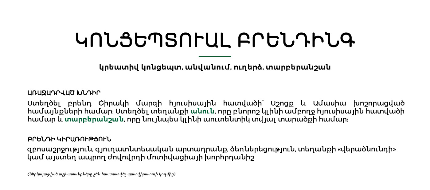 Armenia brand brand identity branding  conceptual industry Minimalism north tourism