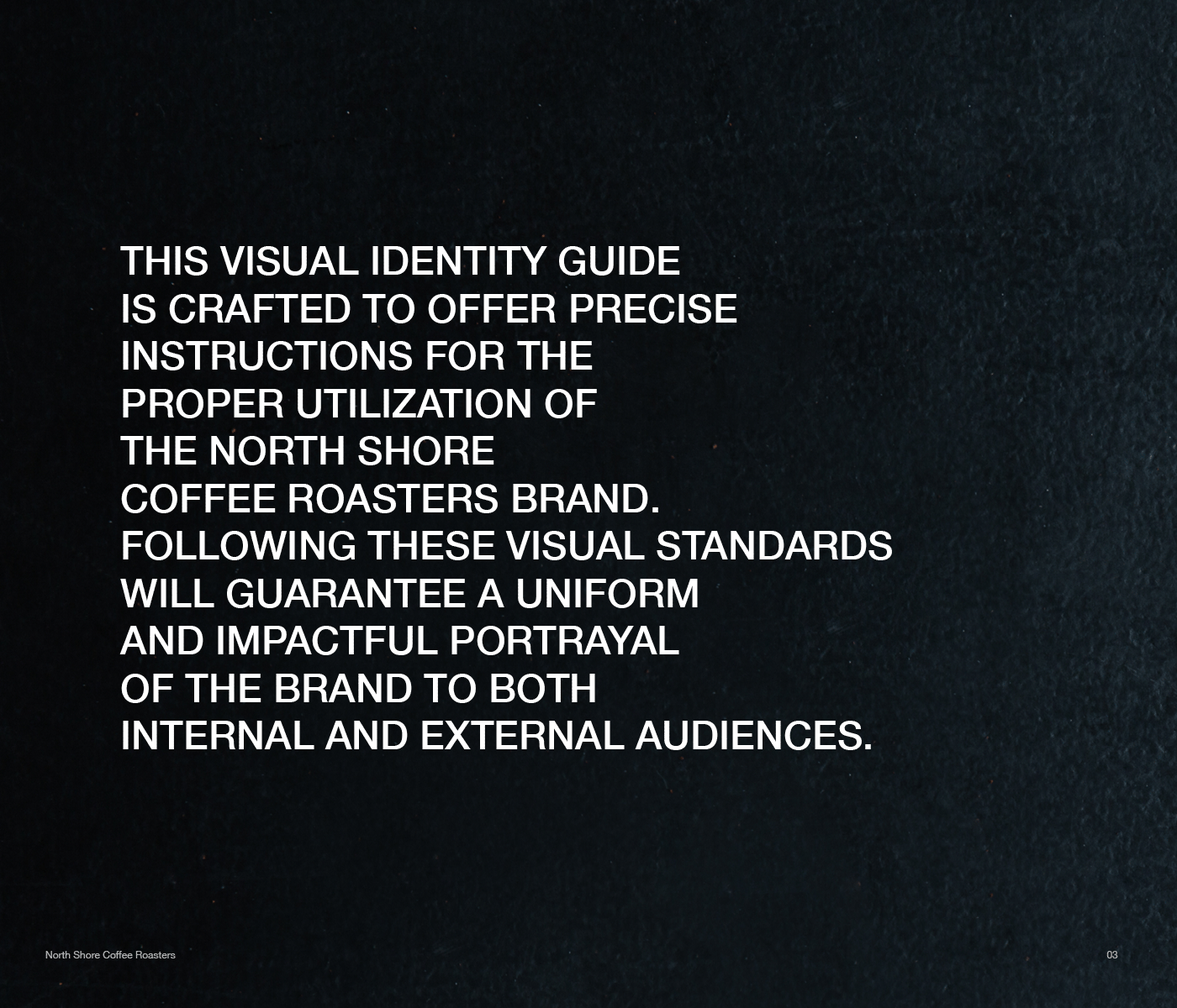 brand identity branding  visual identity Logo Design