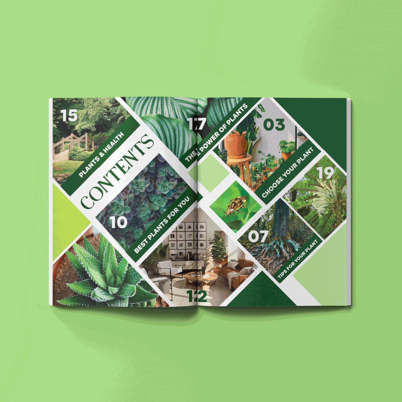 garden green InDesign magazine minimal modern Nature plants