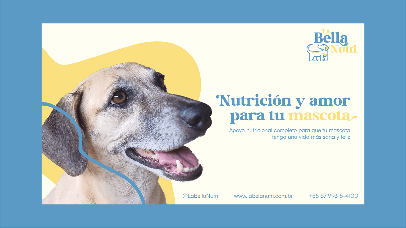 nutrition branding  visual identity Pet petshop dog Cat лого design Logo Design