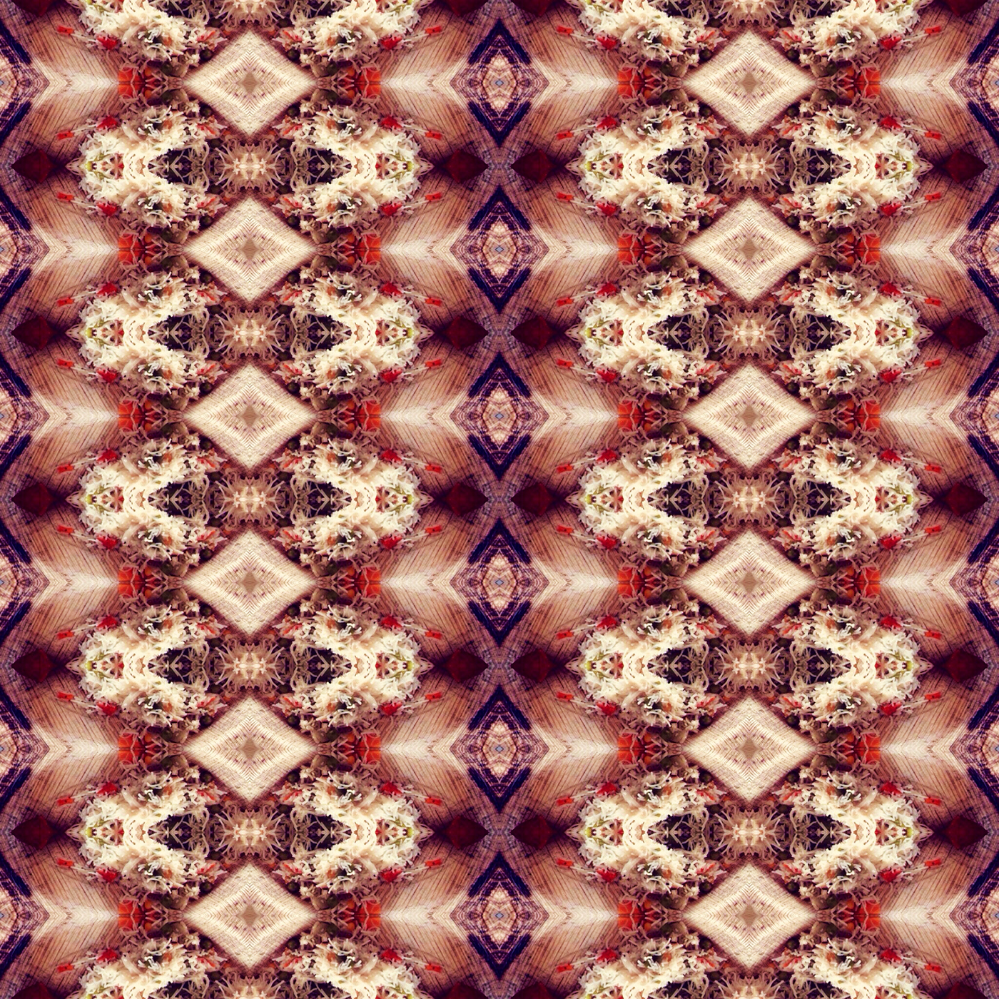 Food  pattern creative art design traditional mirror kaleidoscope subdued brown print