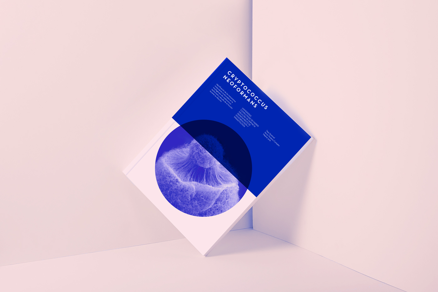 editorial graphic Biologic science brand branding  inspire