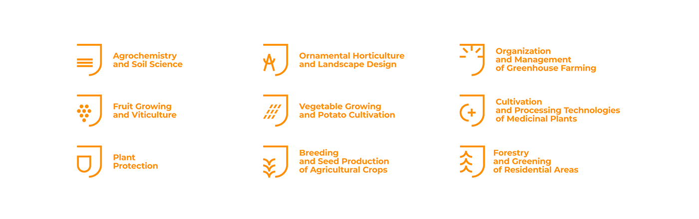 branding  brand identity logo University Education poster graphic design  marketing   Brand Design visual identity