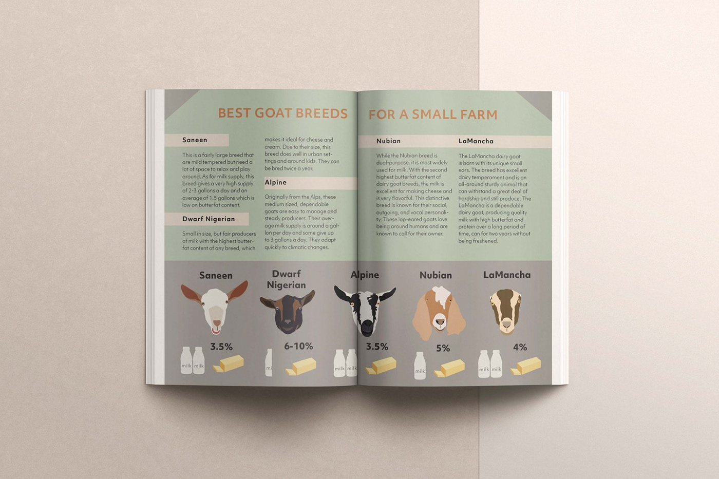publication design typography   Graphic Designer Magazine design Photography  farms Small Business
